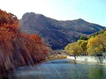 管家婆黑白马报图库，莱芜梆子